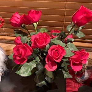 Meet your Posher, Jill